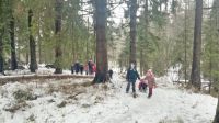 Прогулка в зимний лес.